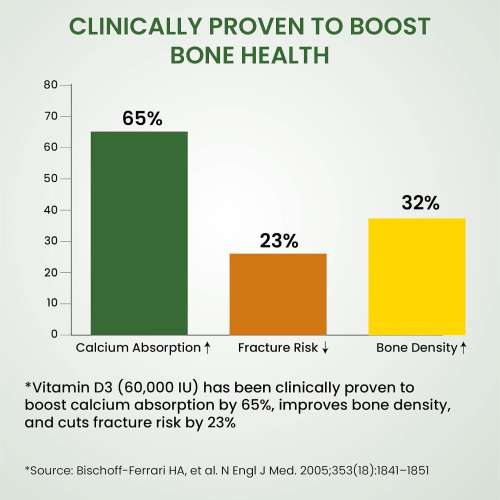 Vlado's Himalayan Organics: Vlado's Himalayan Organics Vitamin D3 60000 IU Tablets | Cholecalciferol I Vitamin D3 60k Supplement | Vitamin D 60000 iu Tablets | Cholecalciferol Supplement 60000iu for men & women | Orange Flavour - 40 Tablets
