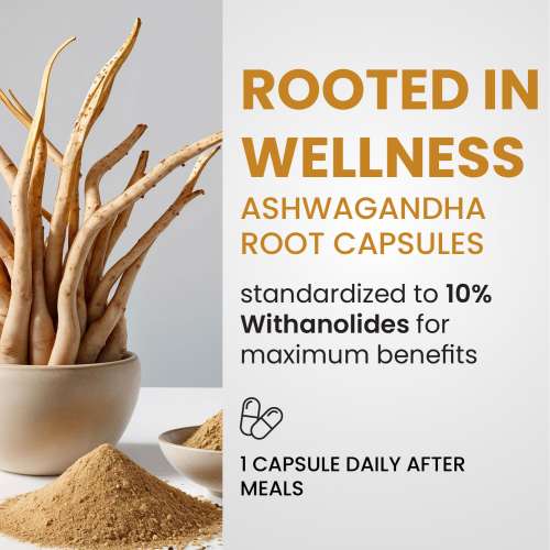 Vlado's Himalayan Organics: Vlado's Himalayan Organics Pure Ashwagandha -10% Withanolides with Ultra High Potency - 600MG - Highly Concentrated & Third-Party Lab Tested - Ayurvedic Supplement - Focus, Mood Support, Increase Energy, Strength - Enhanced Mood & Performance - 30 Capsule