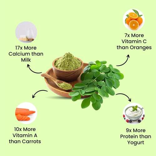 Vlado's Himalayan Organics: Vlado's Himalayan Organics 100% Organic Certified Moringa Powder - Natural Superfood with 120+ Nutrients, Antioxidants & Vitamins - Drumstick Leaf powder | Herbal Supplement I for Immunity, Digestion & Energy I  200gm