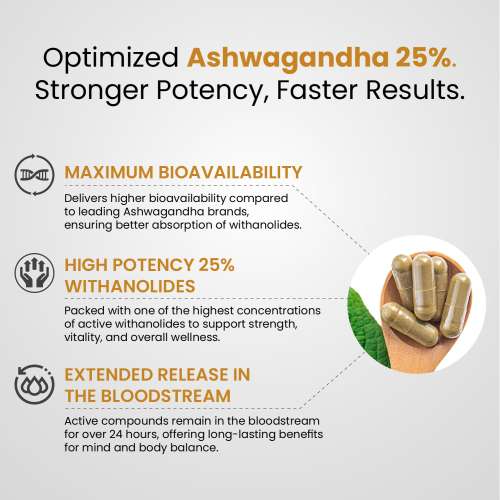 Vlado's Himalayan Organics: Vlado's Himalayan Organics Ashwagandha -25 % Withanolides with Maximum High Potency - 600MG - Highly Concentrated & Third-Party Lab Tested - Ayurvedic Supplement  I 1st in India - 30 Capsules