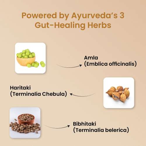 Vlado's Himalayan Organics:  Triphala Powder - 100 GM | Triphala Churna For Gut, Immune & Intestinal Health | Colon & Digestion, For Balanced Bowel & Gut Health, Contains Bioactives and Antioxidants, GMP & NPOP Certified Organic I Helps Relieve Constipation | Herbal Supplement | Qui