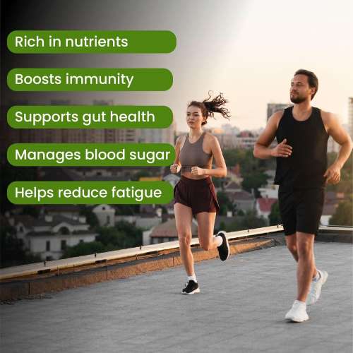 Vlado's Himalayan Organics: Vlado's Himalayan Organics 100% Organic Certified Moringa Powder - Natural Superfood with 120+ Nutrients, Antioxidants & Vitamins - Drumstick Leaf powder | Herbal Supplement I for Immunity, Digestion & Energy I  200gm