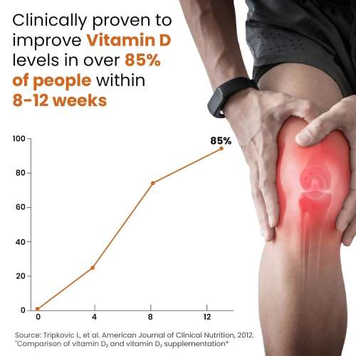 Vlado's Himalayan Organics: Vlado's Himalayan Organics Vitamin D3 10000IU - Chewable Vitamin D Tablets | Cholecalciferol Vitamin D3 Supplement for Bone & Immunity | Vitamin D3 Supplement for Women & Men | Orange Flavour - 60 Tablets