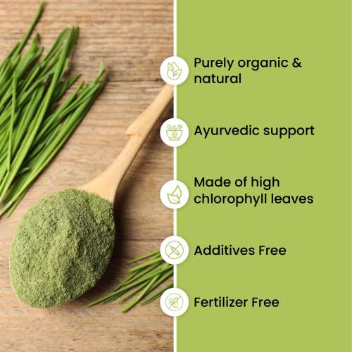 Vlado's Himalayan Organics: Vlado's Himalayan Organics 100% Natural Organic Wheatgrass Powder | USDA Certified| Organic Wheatgrass Juice | Ayurvedic Support For Natural Detox | Immunity Booster | Herbal Supplement - 100gm