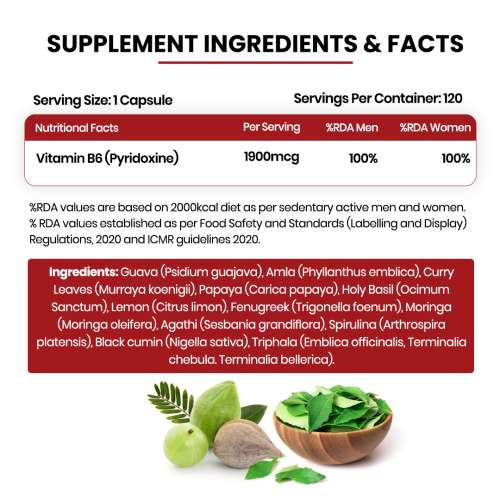 Vlado's Himalayan Organics: Plant-Based Vitamin B6 | Supports Immunity, Brain Health (120 Capsules)