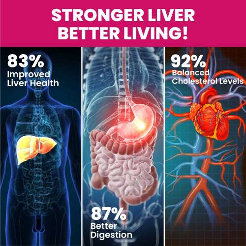 Vlado's Himalayan Organics: Vlado's Himalayan Organics Milk Thistle Extract Detox Supplement For Men And Women With 800Mg Of Silybum Marianum For Healthy Liver | Helps in Cleanse Liver - 60 Vegetarian Capsules