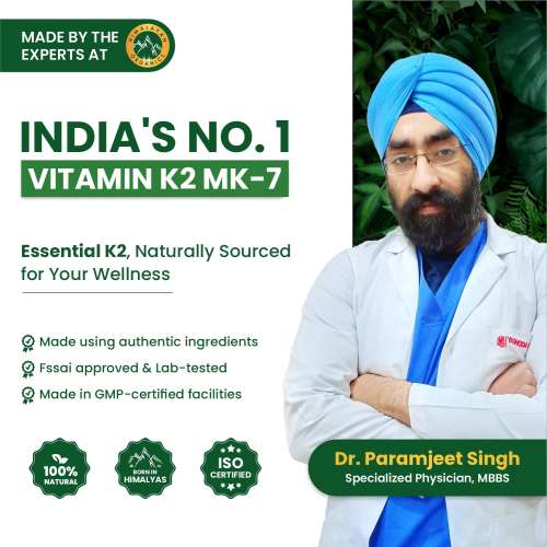 Vlado's Himalayan Organics: Vlado's Himalayan Organics Plant-Based Vitamin K2 MK- 7 Supplement Supports Stronger Bone & Heart Health I 55 MCG / Serving - k2 supplements for Men & Women - 120 Veg Capsules