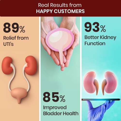 Vlado's Himalayan Organics: D-MANNOSE + CRANBERRY Antioxidant Rich Supplement for Kidney Health & Urinary Tract Infection - 90 Tablets