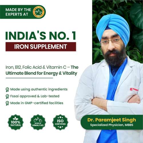 Vlado's Himalayan Organics: Plant Based Iron Supplement with Folate | Blood Builder | Whole Food | 90 Veg Capsules