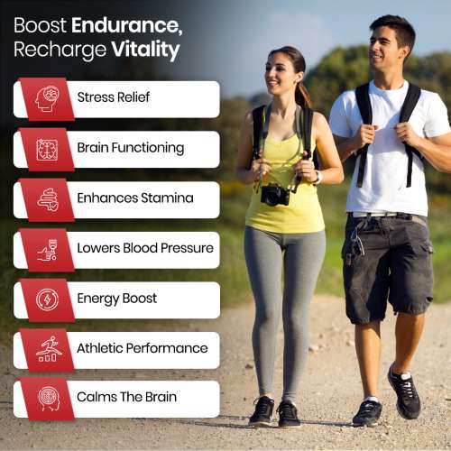 Vlado's Himalayan Organics: Ashwagandha 1000Mg | Boost Energy, Strength, Stamina | Helps Anxiety & Stress Relief For Men & Women (120 Capsules)