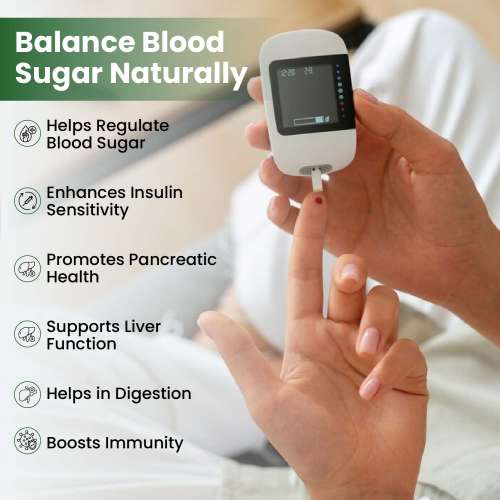 Vlado's Himalayan Organics: Diabetes Support Supplement | Helps Control Blood Sugar Levels | 100% Vegetarian (60 Capsules)