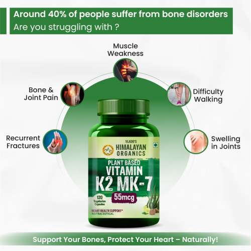 Vlado's Himalayan Organics: Vlado's Himalayan Organics Plant-Based Vitamin K2 MK- 7 Supplement Supports Stronger Bone & Heart Health I 55 MCG / Serving - k2 supplements for Men & Women - 120 Veg Capsules