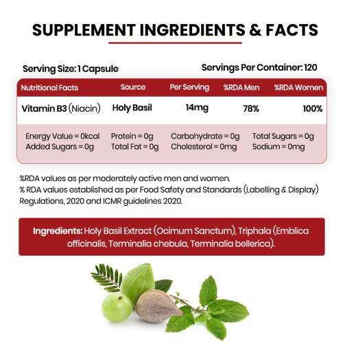 Vlado's Himalayan Organics: Plant-Based Vitamin B3 | Supports Healthy Skin and Heart 120 Capsules