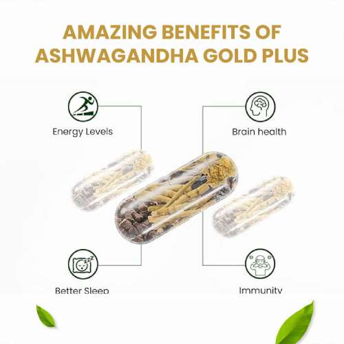 Vlado's Himalayan Organics: Vlado's Himalayan Organics Ashwagandha Gold Plus | Supports Strength, Energy & Immunity | 60 Veg Capsules