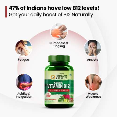 Vlado's Himalayan Organics: Plant Based Vitamin B12 Natural- 60 Veg Capsules