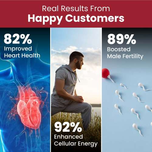 Vlado's Himalayan Organics: CoQ10-200mg With BioPepper - 5mg , COENZYME Q-10 Supplement | High Absorption I Antioxidant Support Healthy Heart Boost Energy And Metabolism High Strength For Men And Women - 60 Caps