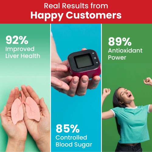 Vlado's Himalayan Organics: Vlado's Himalayan Organics Berberis Berberine 98% with Milk Thistle I Berberine Capsules 750 mg | Berberine Supplements for 2X Liver Support I Berberis Aristata ISupports Liver Health, Antioxidant Protection & Weight Management | Herbal Formula for Detox 