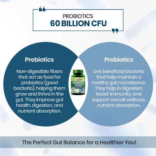 Vlado's Himalayan Organics: Vlados Himalayan Organic Probiotics 60 Billion CFU + 170Mg Prebiotics + 24 Strains Supplement | Better Nutrient Absorption | Healthy Digestion, Stronger Immunity & Overall Wellness - 60 Veg Capsules