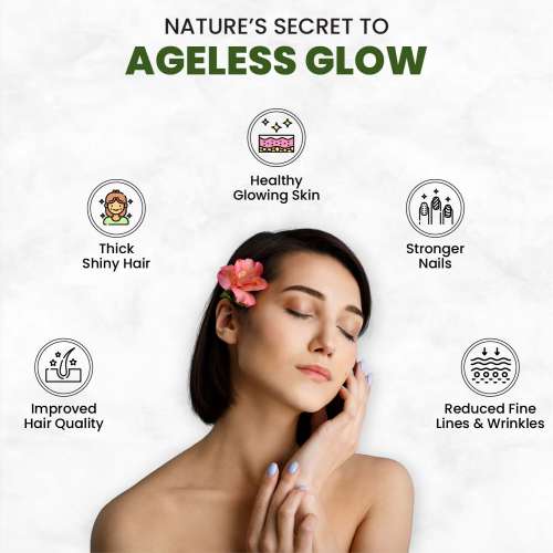 Vlado's Himalayan Organics: Plant Based Collagen Builder Powder for Skin Regeneration, Anti-Aging Beauty & Repair (with Sea Buckthorn,Evening Primrose, Acai Berry) 250gm