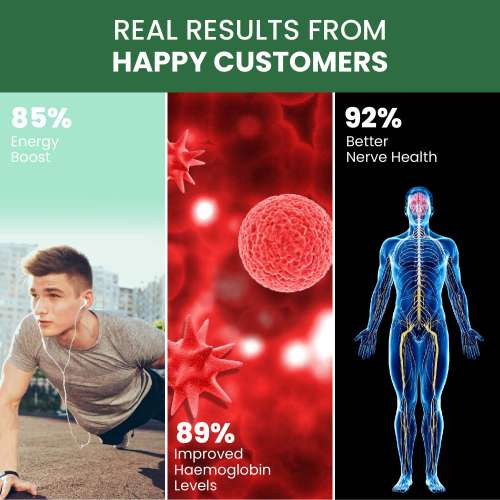 Vlado's Himalayan Organics: Plant Based B-Complex Vitamins B12, B1, B2, B3, B5, B6, B9 and Biotin for Metabolism, Hair and Energy- 60 Veg Capsules