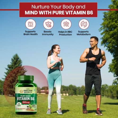 Vlado's Himalayan Organics: Plant-Based Vitamin B6 | Supports Immunity, Brain Health (120 Capsules)