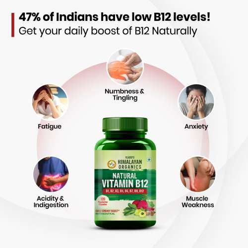 Vlado's Himalayan Organics: Plant Based Vitamin B12 Natural- 120 Veg Capsules