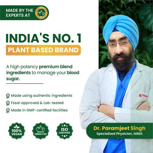 Vlado's Himalayan Organics: Plant Based Gluco Balance Insulin Resistance, Diabetes Control | Jamun, Bittermelon, Amla, Gudmar, Chirayta Extracts | 60 Veg Tablets