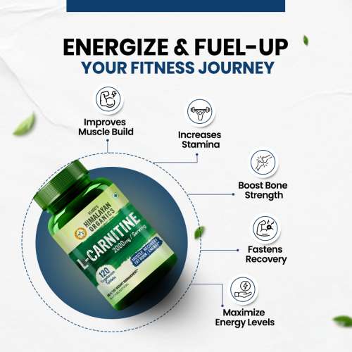 Vlado's Himalayan Organics: L-Carnitine 2000mg/Serve | Supports Muscle Recovery, Fat Burn & Energy | 120 Veg Tablets