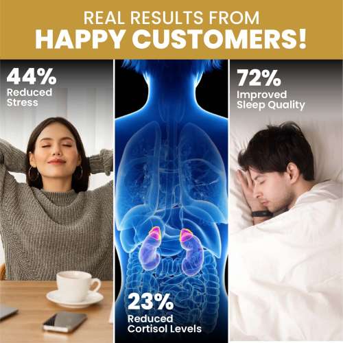 Vlado's Himalayan Organics: Vlado's Himalayan Organics Ashwagandha Gold Plus | Supports Strength, Energy & Immunity | 60 Veg Capsules