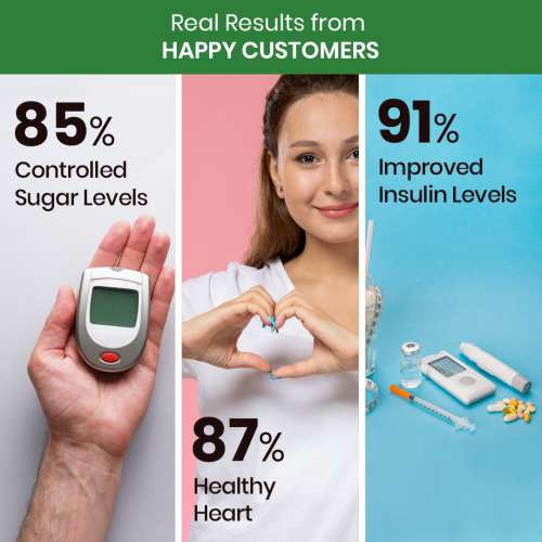 Vlado's Himalayan Organics: Plant Based Gluco Balance Insulin Resistance, Diabetes Control | Jamun, Bittermelon, Amla, Gudmar, Chirayta Extracts | 60 Veg Tablets