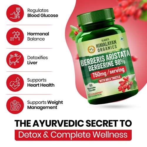 Vlado's Himalayan Organics: Vlado's Himalayan Organics Berberis Berberine 98% with Milk Thistle I Berberine Capsules 750 mg | Berberine Supplements for 2X Liver Support I Berberis Aristata ISupports Liver Health, Antioxidant Protection & Weight Management | Herbal Formula for Detox 