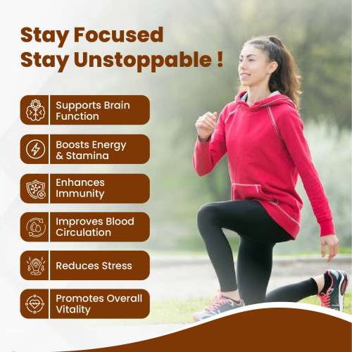 Vlado's Himalayan Organics: Korean Red Ginseng 1000mg/Serve 100 Veg Capsules