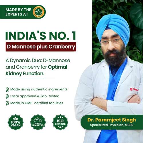 Vlado's Himalayan Organics: D-MANNOSE + CRANBERRY Antioxidant Rich Supplement for Kidney Health & Urinary Tract Infection - 90 Tablets