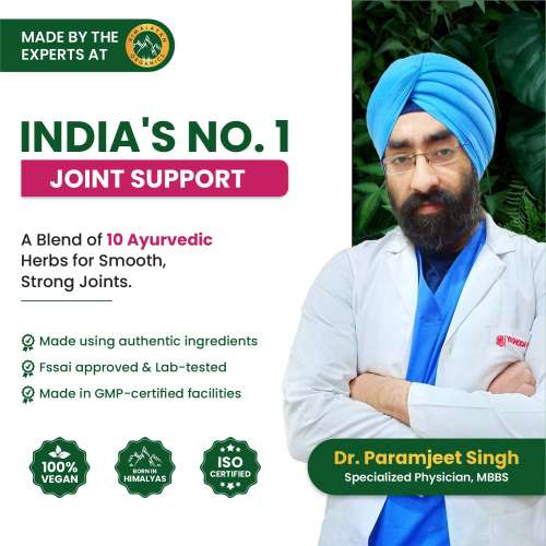 Vlado's Himalayan Organics: Plant Based Joint Support With Boswellia Serrata | Amla, Alfalfa, Turmeric, Moringa + 10 Ayurvedic Herbs | Strong Bones & Relives Joint Pain | Better Flexibility For Men & Women - 60 Veg Tablets