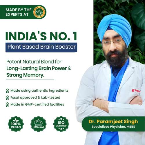 Vlado's Himalayan Organics: Plant Based Brain Booster Supplement with Ginkgo Biloba & Brahmi | Boost concentration & Memory | 60 Veg Capsules