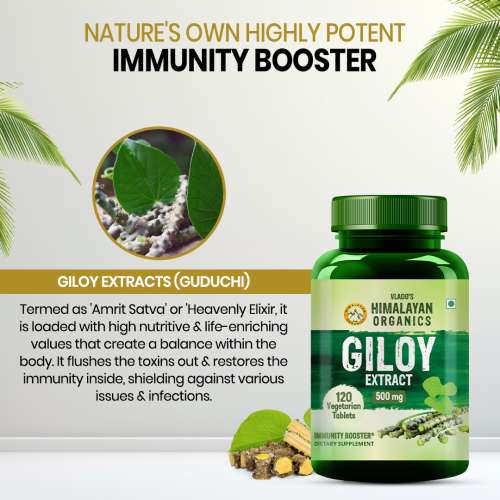 Vlado's Himalayan Organics: Giloy Extract | Immunity Booster | Helps in Blood Purification | 120 Veg Tablets