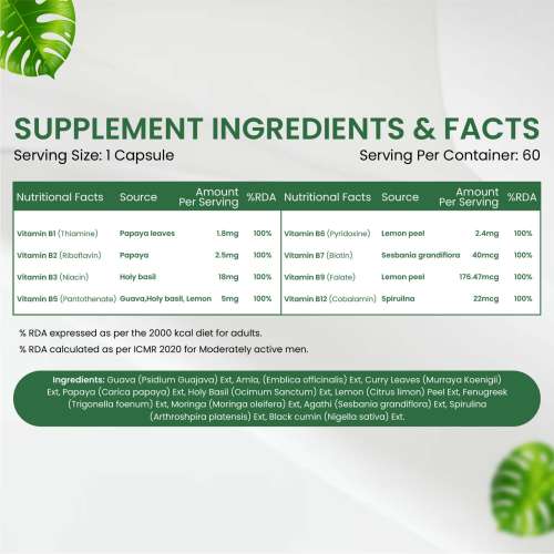 Vlado's Himalayan Organics: Plant Based B-Complex Vitamins B12, B1, B2, B3, B5, B6, B9 and Biotin for Metabolism, Hair and Energy- 60 Veg Capsules
