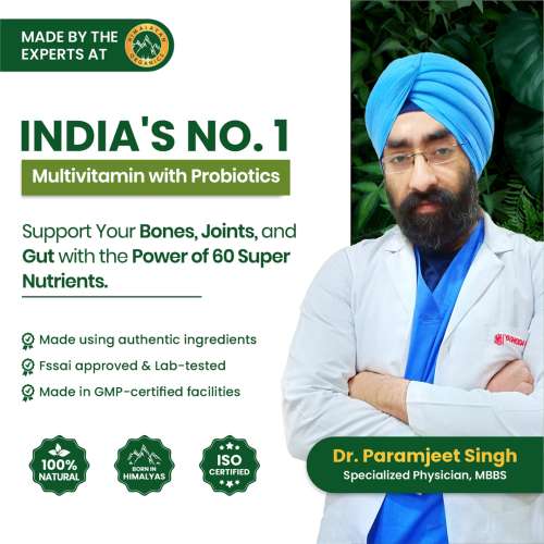 Vlado's Himalayan Organics: Vlados Himalayan Organics Multivitamin With Probiotics - 60 Ingredients Supplement For Men And Women | Vitamin C, D, E, B3, B5, B12, Zinc, Magnesium, Giloy & Biotin | Good For Bone & Joint Support | Gut health - 60 Veg Tablets