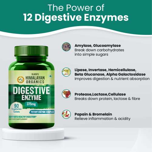 Vlado's Himalayan Organics: Digestive Enzyme for Healthy Digestion- 90 Veg Tablets