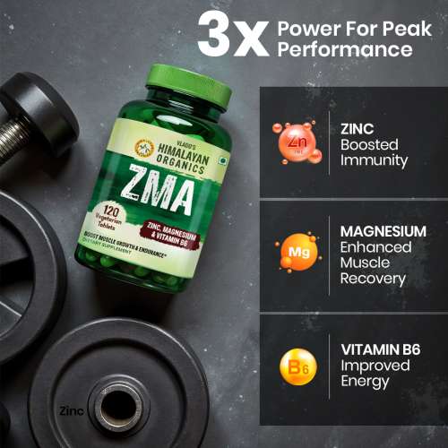 Vlado's Himalayan Organics: ZMA (Zinc, Magnesium Aspartate) Sports Recovery Supplement - 120 Veg Tablets