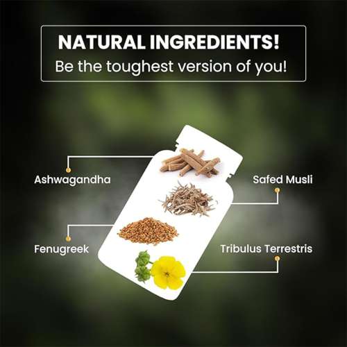 Vlado's Himalayan Organics: Vlado's Himalayan Organics Testosterone Booster | Supports Muscle & Energy Boost | With Vitamin D3, Magnesium, Zinc, Tribulus, Ashwagandha & Safed Musli | 90 Veg Tabs