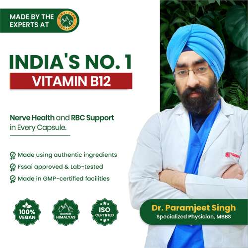 Vlado's Himalayan Organics: Plant Based Vitamin B12 Natural- 60 Veg Capsules