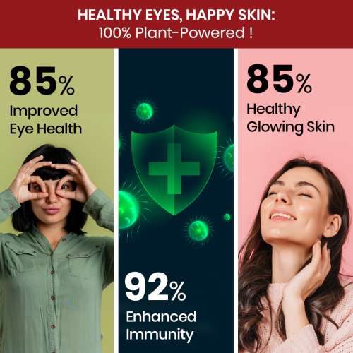 Vlado's Himalayan Organics: Plant-Based Vitamin A Supplement Supports Healthy Eye Sight | Natural Anti-Oxidant (120 Capsules)
