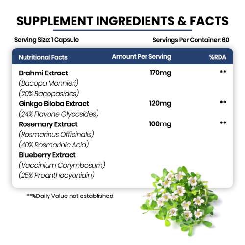 Vlado's Himalayan Organics: Plant Based Brain Booster Supplement with Ginkgo Biloba & Brahmi | Boost concentration & Memory | 60 Veg Capsules