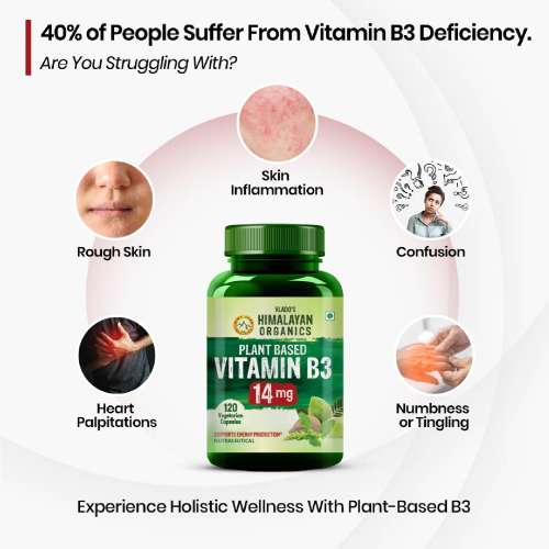 Vlado's Himalayan Organics: Plant-Based Vitamin B3 | Supports Healthy Skin and Heart 120 Capsules