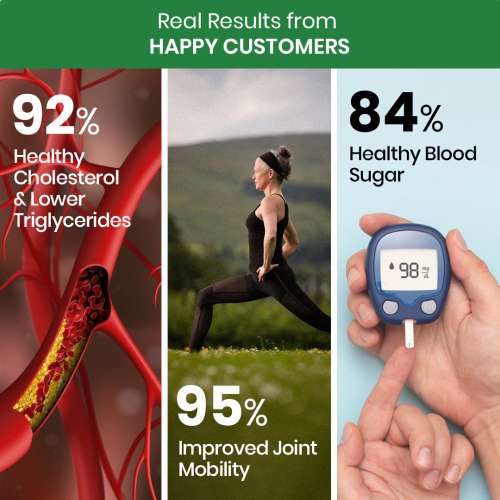 Vlado's Himalayan Organics: Omega 3 6 9 Vegan Natural Nutrition Supplement for Muscle, Bone , Heart & Skin - 60 Capsules