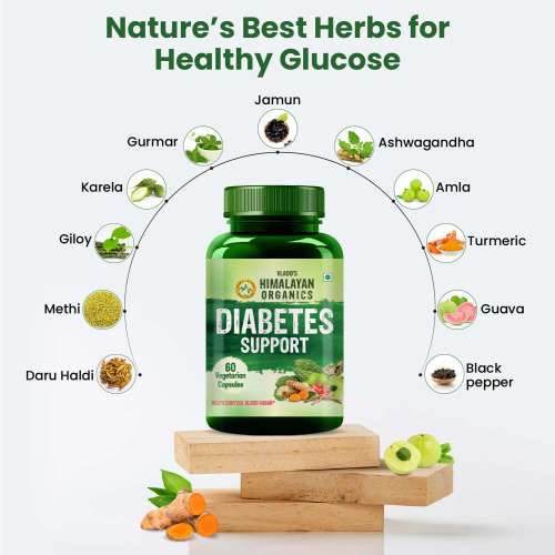 Vlado's Himalayan Organics: Diabetes Support Supplement | Helps Control Blood Sugar Levels | 100% Vegetarian (60 Capsules)