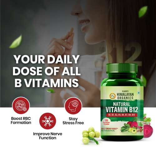 Vlado's Himalayan Organics: Plant Based Vitamin B12 Natural- 120 Veg Capsules