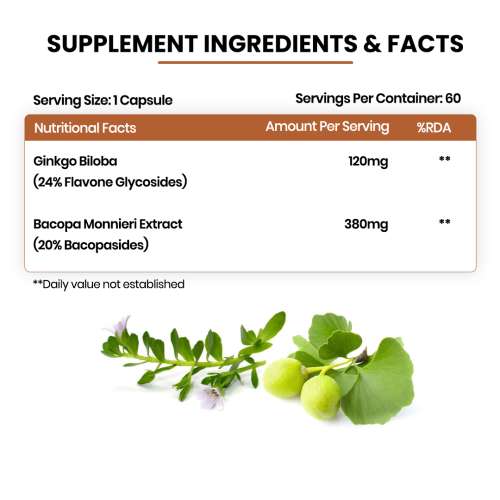 Vlado's Himalayan Organics: Ginkgo Biloba for Healthy Brain Functions | 500Mg | 60 Veg Capsules