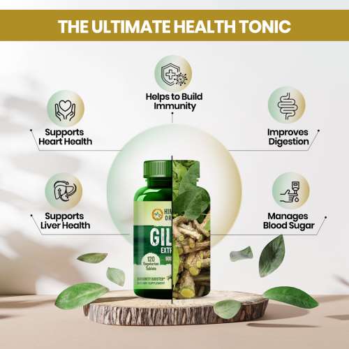 Vlado's Himalayan Organics: Giloy Extract | Immunity Booster | Helps in Blood Purification | 120 Veg Tablets